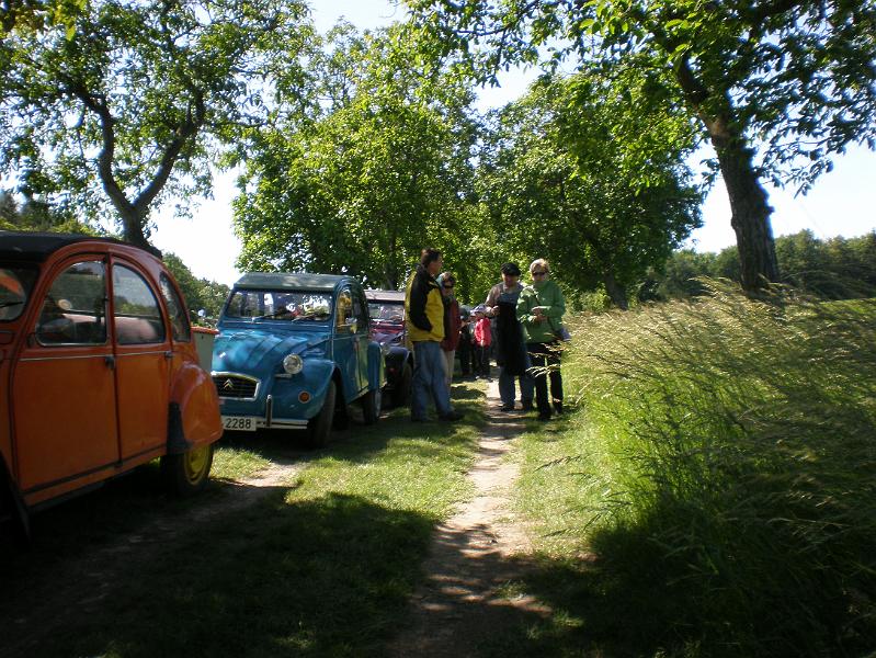 D6120028.JPG